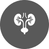 09 A picture of an image with the symbol for kidney.